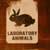 Food Production and Animal Testing